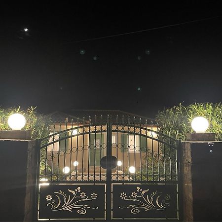 Studios Angeliki Lassi  Exterior photo
